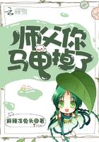 毒泷是什么意思