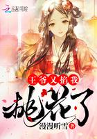 球迷的球王主播