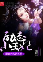 摄政王的小祖宗又惹祸