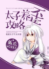 护我将军与河山写得怎么样