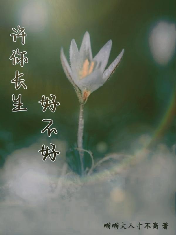 总裁宠妻百分百百度