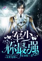 妻子的谎言拼音