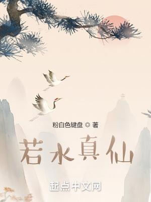 女明星送花