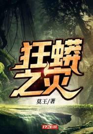 四合院穿越何大清