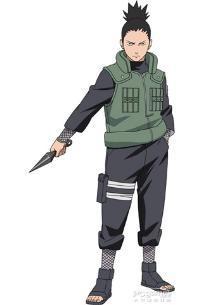 风流医圣无弹窗