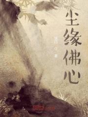 穿越到星际之狐狸